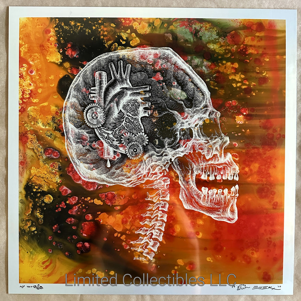 Emek Tool Berlin 2006 X-Ray Skull Rare Signed & Numbered Test Print on Anodized Aluminum Metal Close Up