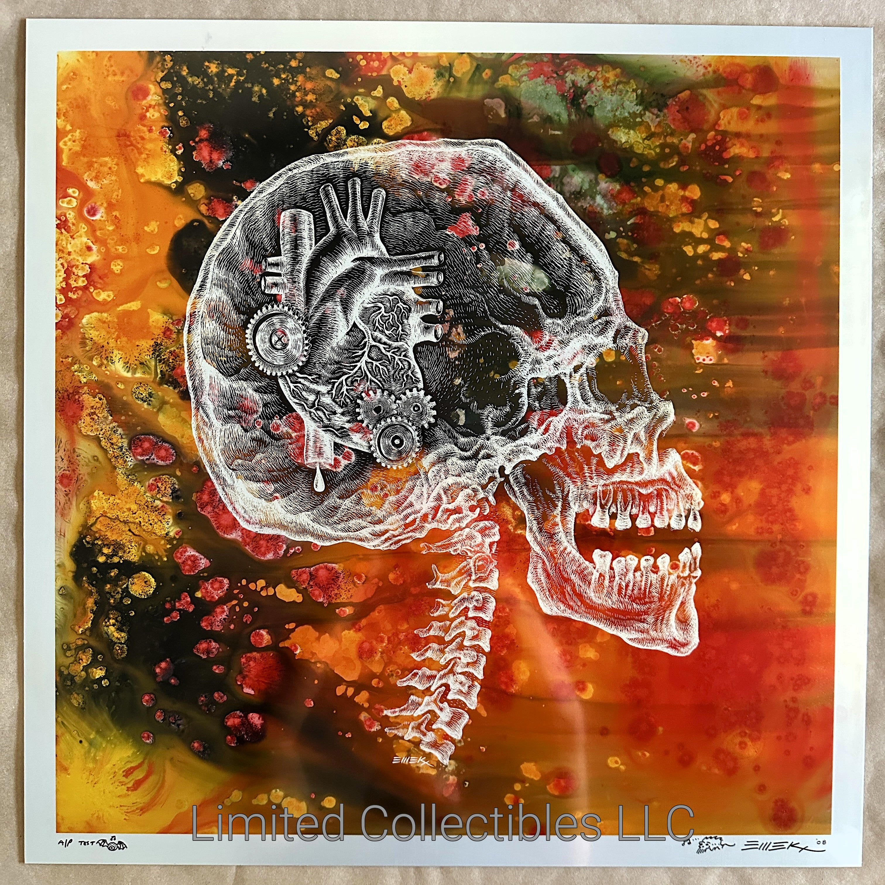 Emek Tool Berlin 2006 X-Ray Skull Rare Signed & Numbered Test Print on Anodized Aluminum Metal Close Up – Limited Collectibles