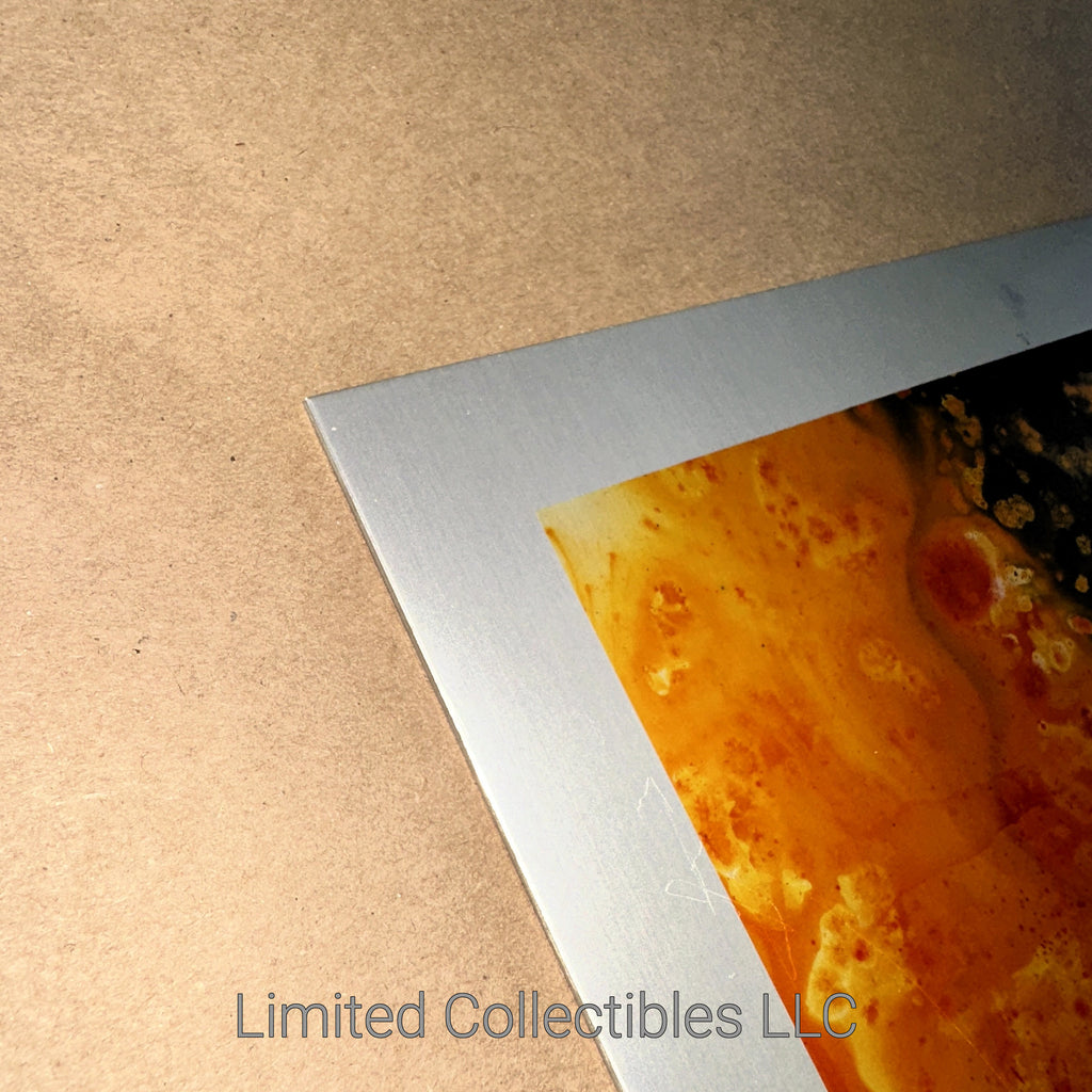 Emek Tool Berlin 2006 X-Ray Skull Rare Signed & Numbered Test Print on Anodized Aluminum Metal Corner 3