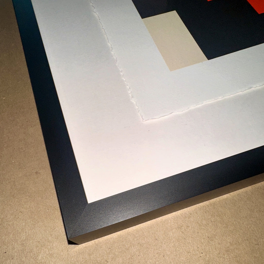 Invader Camo M3CM2 NVDR3-2 2024 Framed Camouflage Signed & Numbered Art Print Corner 3