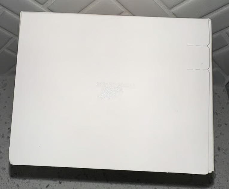 Labubu ~ The Monsters ~ Big Into Energy ~ Blind Box (Single)