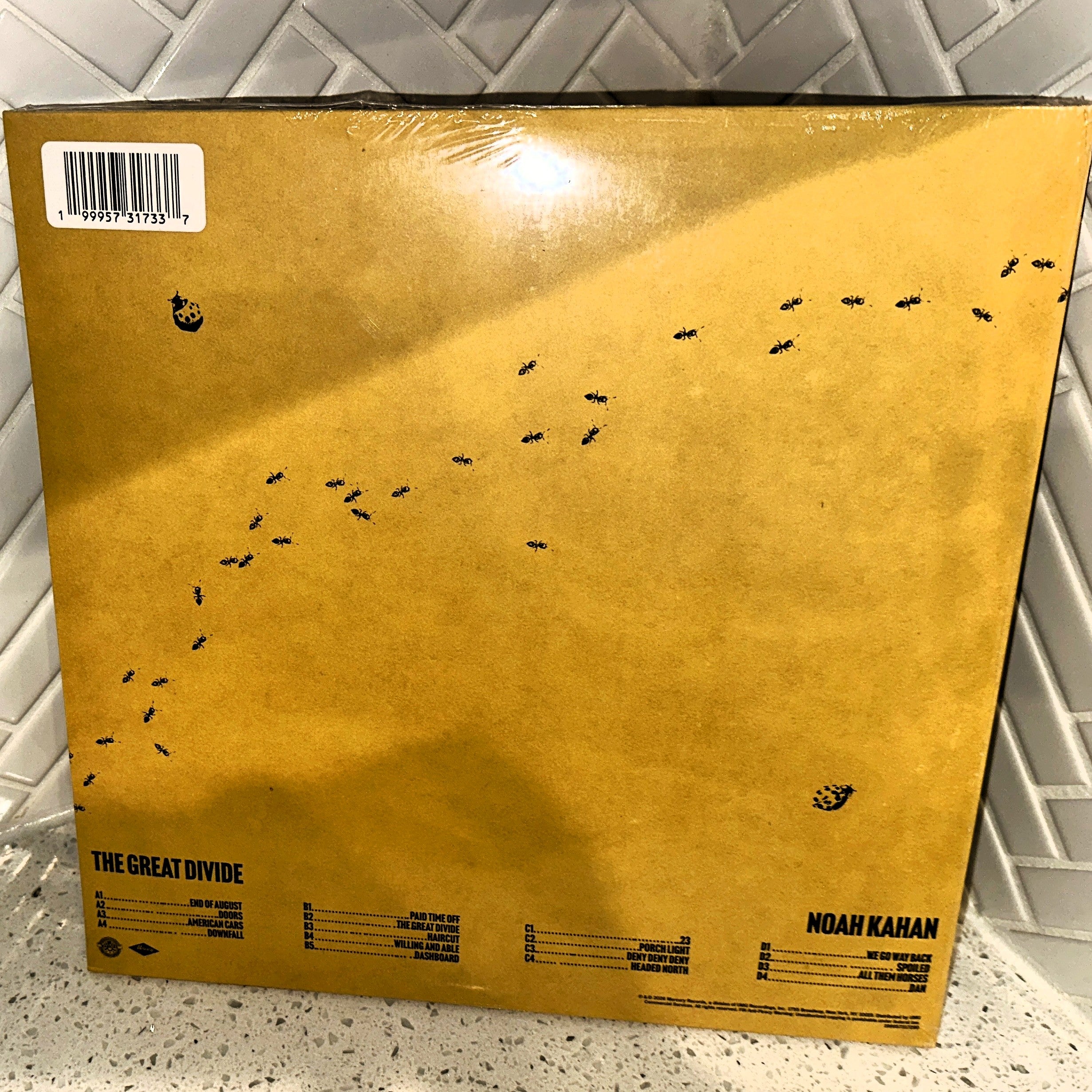 Noah Kahan The Great Divide 2LP Limited Edition Podunk Translucent Vinyl Record Rear – Limited Collectibles