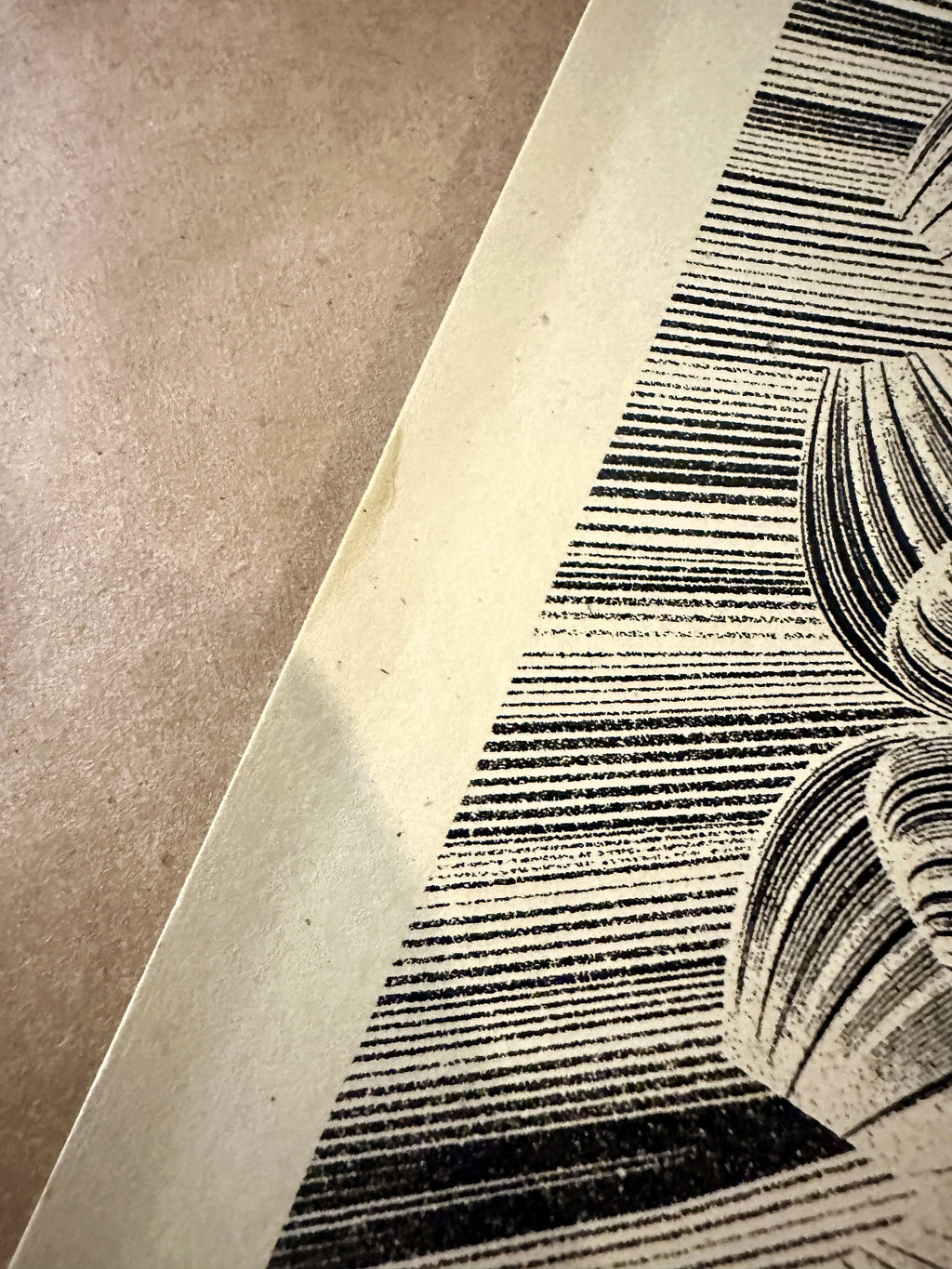 Shepard Fairey - Kai & Sunny - Flower Diamond - Signed & Numbered 2021 Screen Print