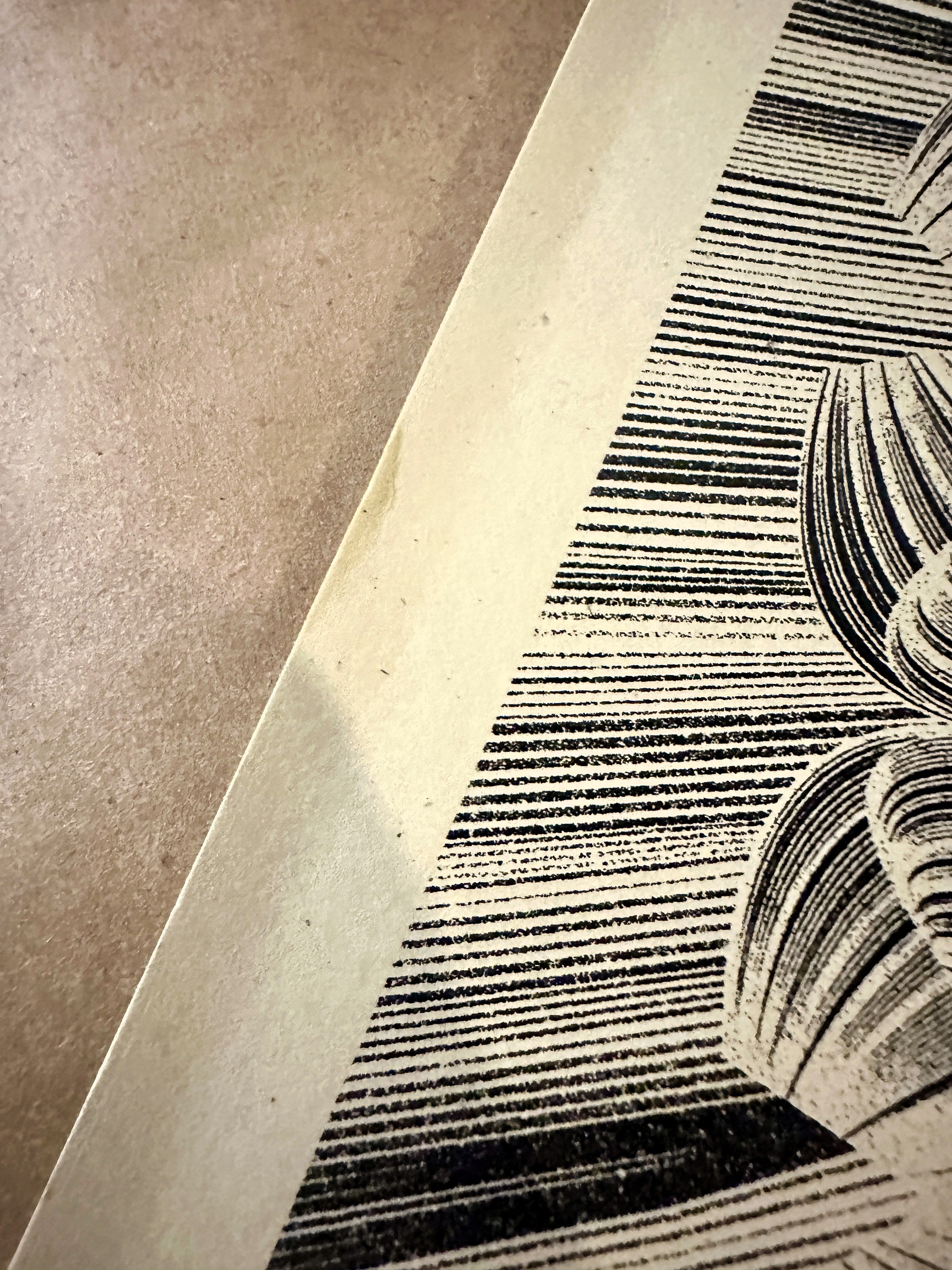 Shepard Fairey - Kai & Sunny - Flower Diamond - Signed & Numbered 2021 Screen Print – Limited Collectibles