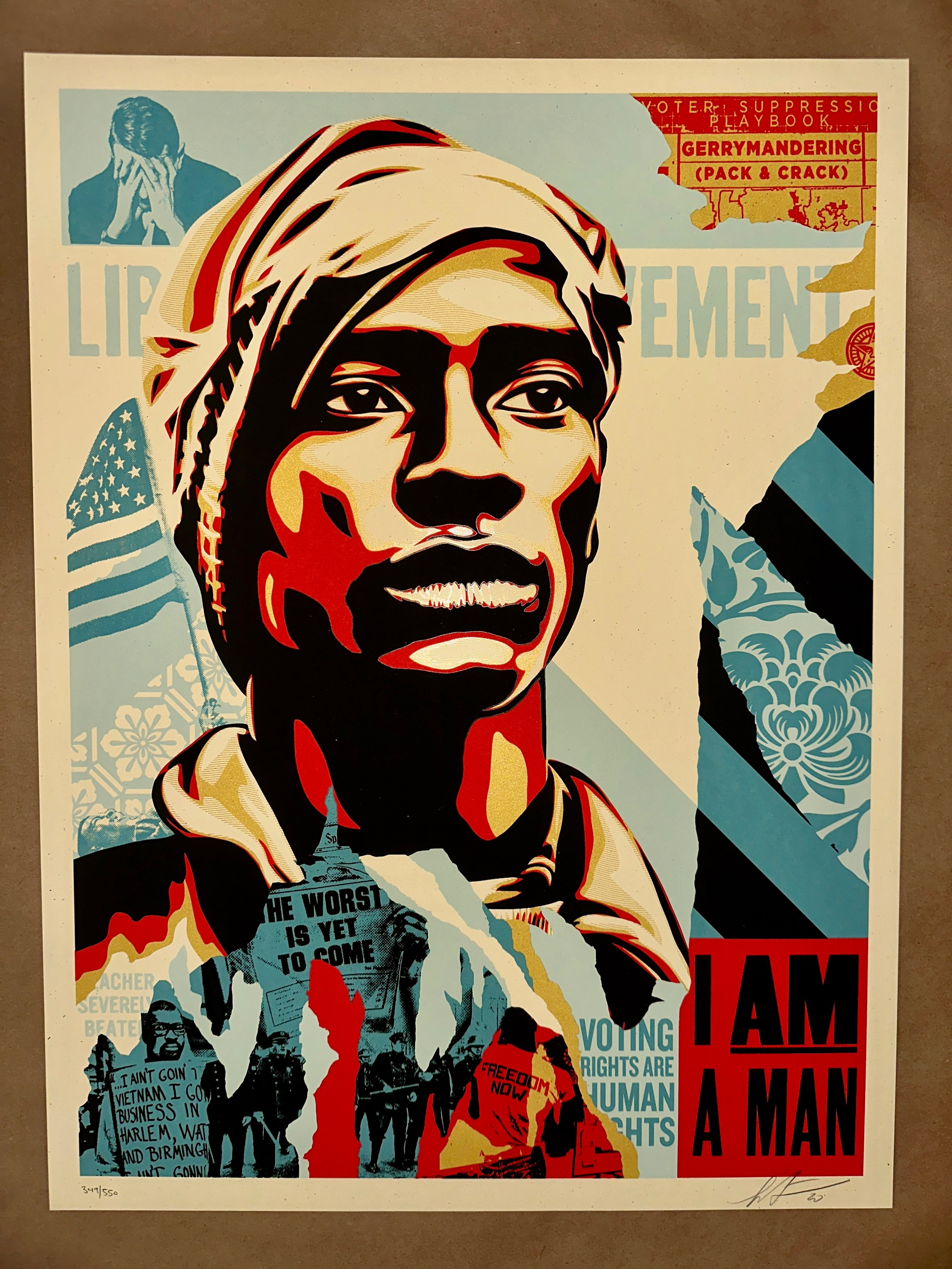 Shepard Fairey (Obey Giant) ~ Voting Rights Are Human Rights - art_print – Limited Collectibles