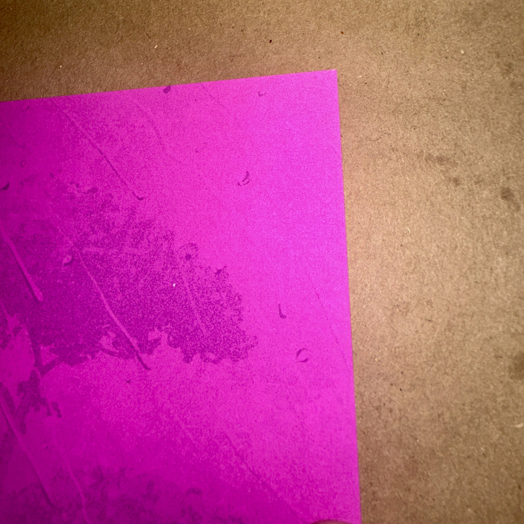 Parasite Variant 2020 Limited Edition Numbered Mondo Movie Poster - Rory Kurtz Corner 4