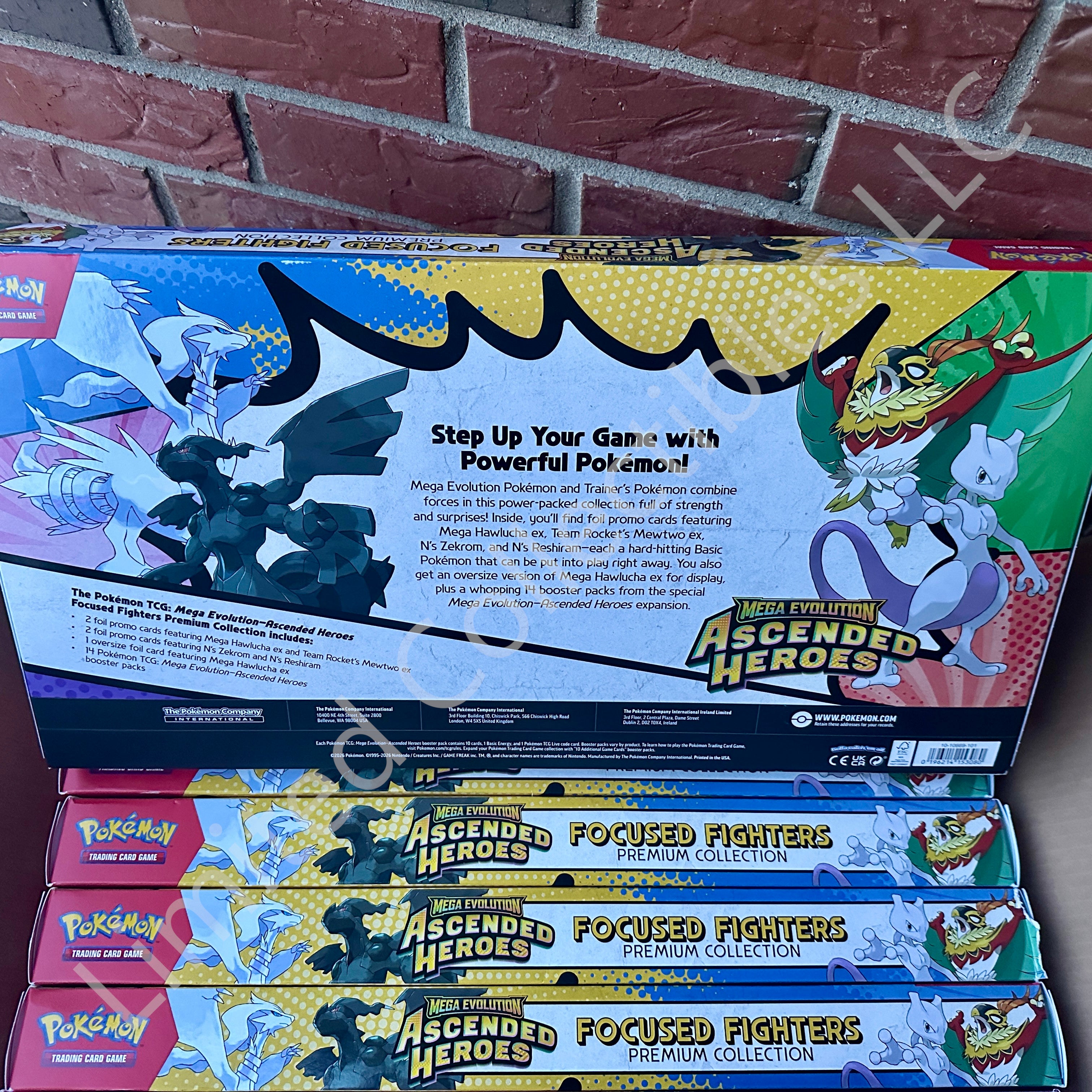 Pokemon TCG ME2.5 Ascended Heroes Focused Fighters Premium Collection Box Rear – Limited Collectibles