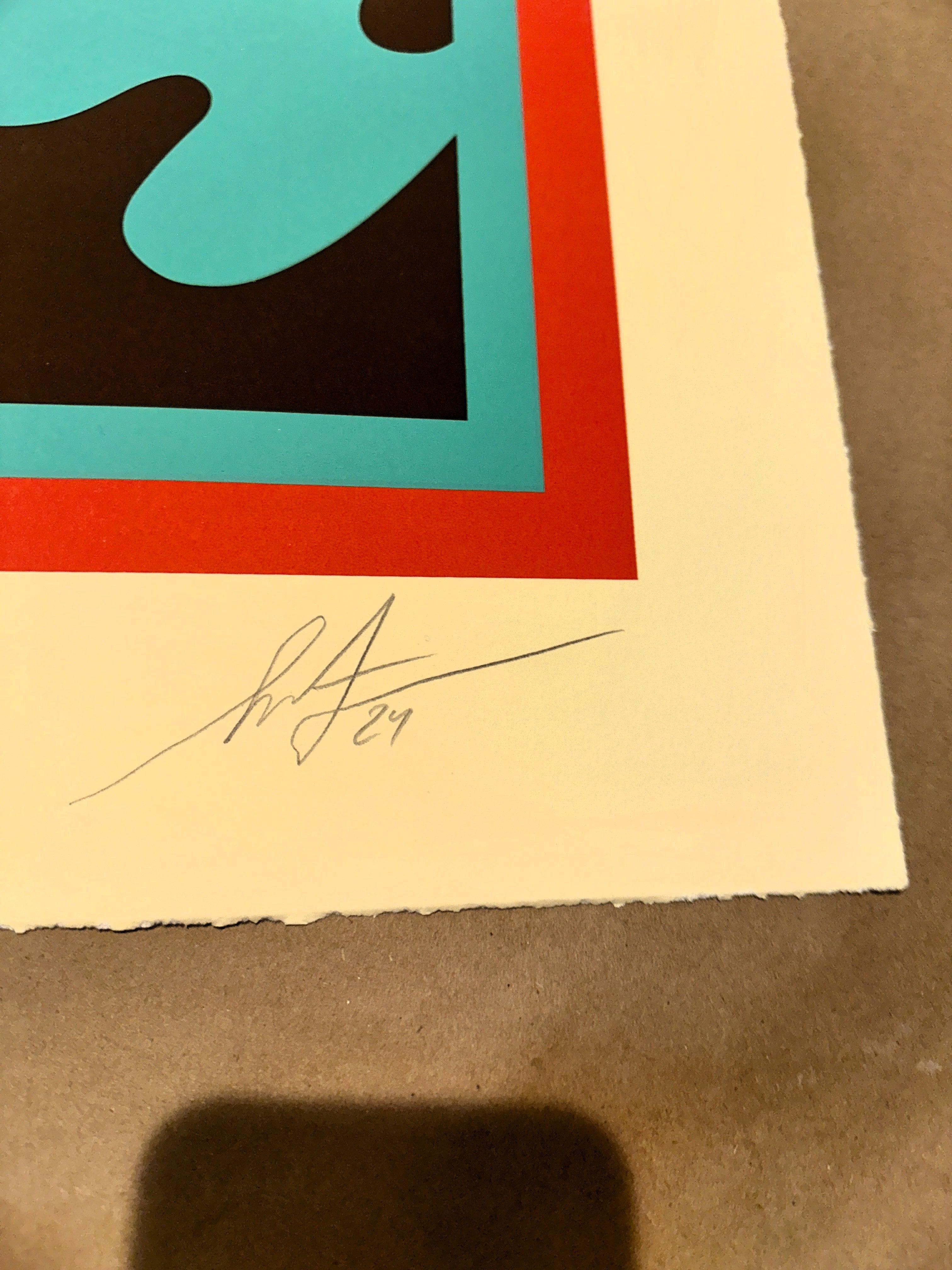 Shepard Fairey 2024 They Divide We Multiply Signed & Numbered Screen Print Signature Markings – Limited Collectibles