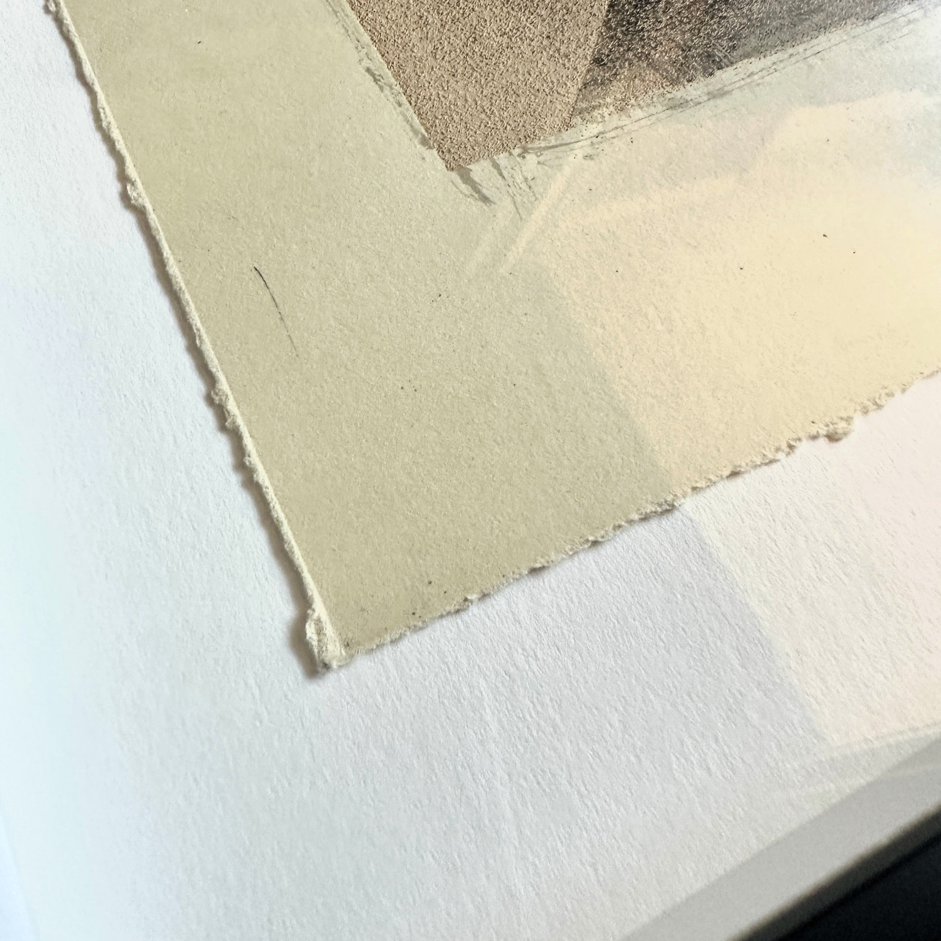 Shepard Fairey AR-15 Lily Unique 11 Signed Mixed Media Mono-Engraving on Paper Corner 2 – Limited Collectibles