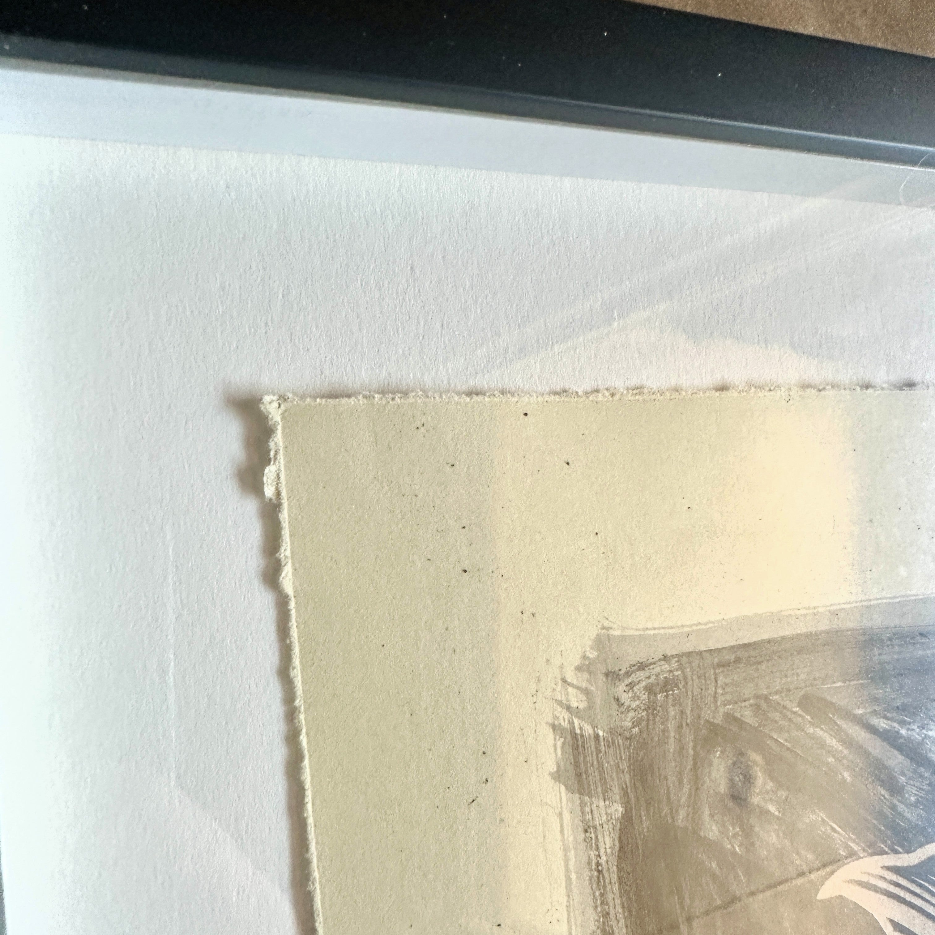 Shepard Fairey AR-15 Lily Unique 11 Signed Mixed Media Mono-Engraving on Paper Corner 3 – Limited Collectibles