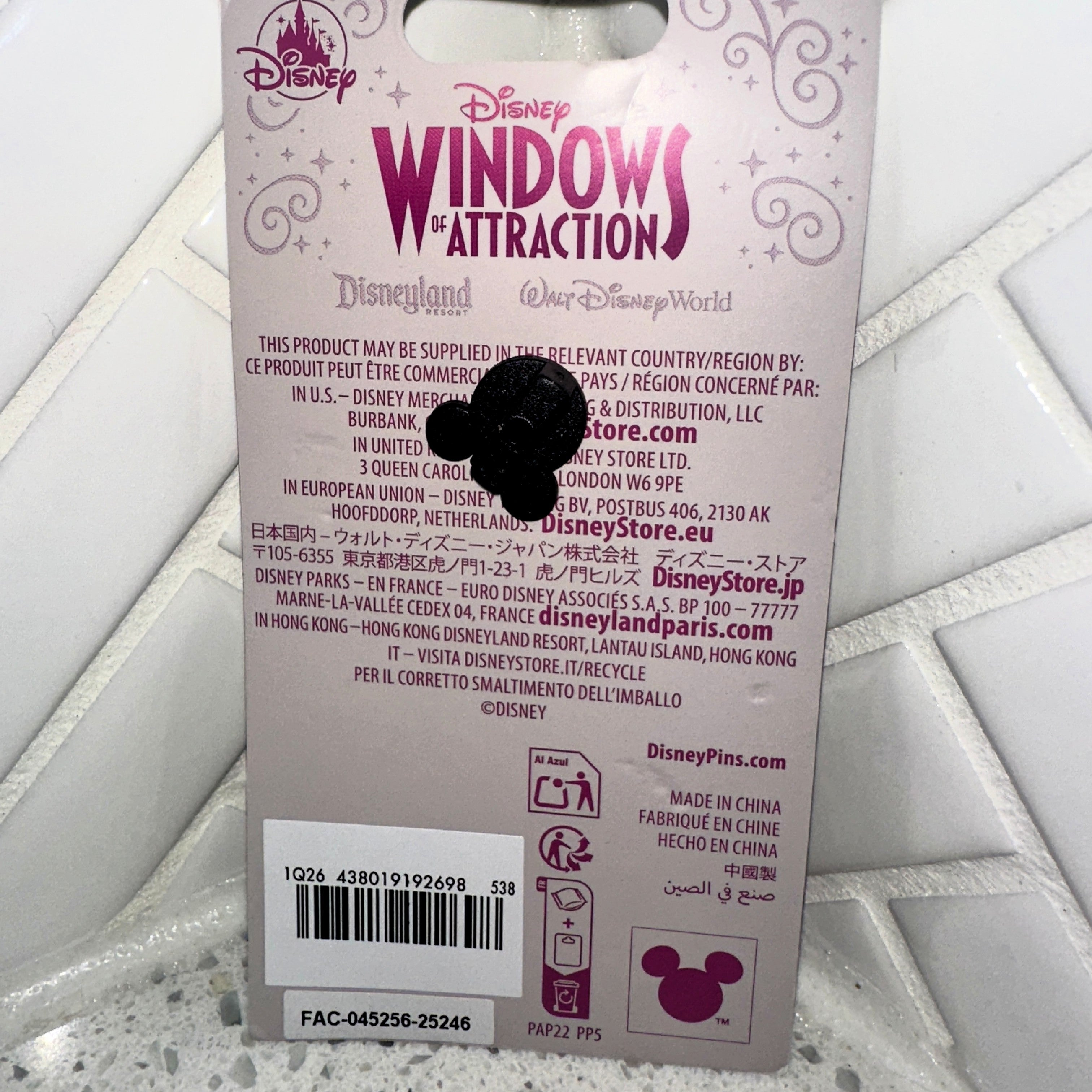 Sleeping Beauty Castle 2025 Disney Windows of Attraction Limited Edition Pin Rear – Limited Collectibles