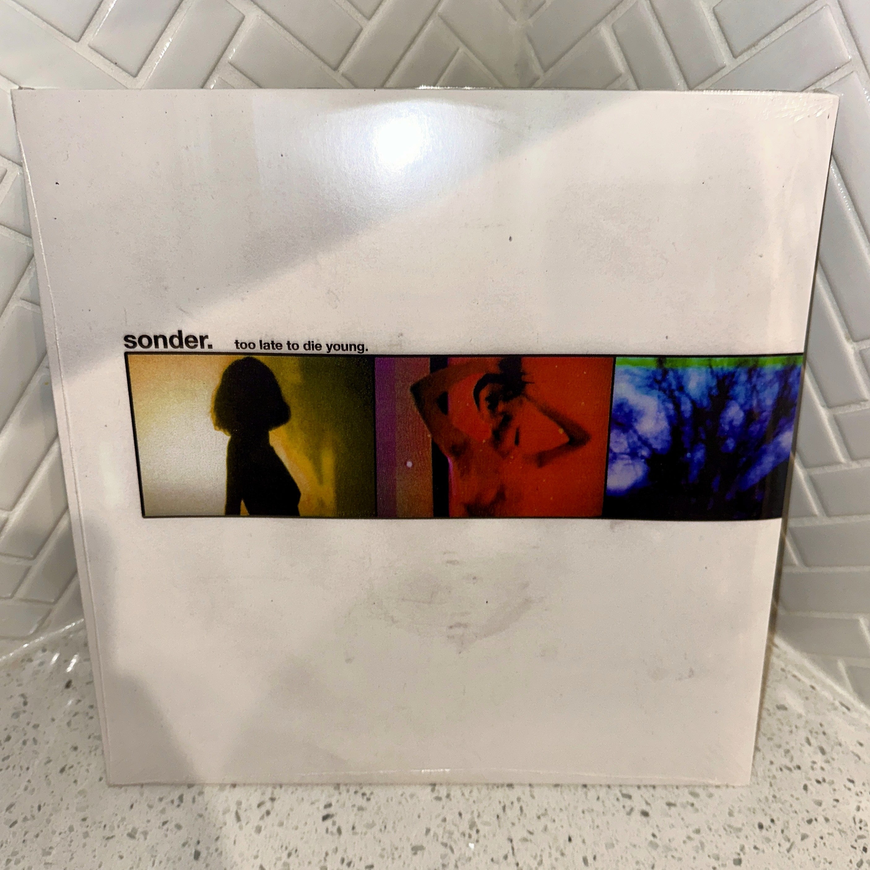 Sonder Too Late To Die Young LP Exclusive Official First Pressing Vinyl Record Rear – Limited Collectibles