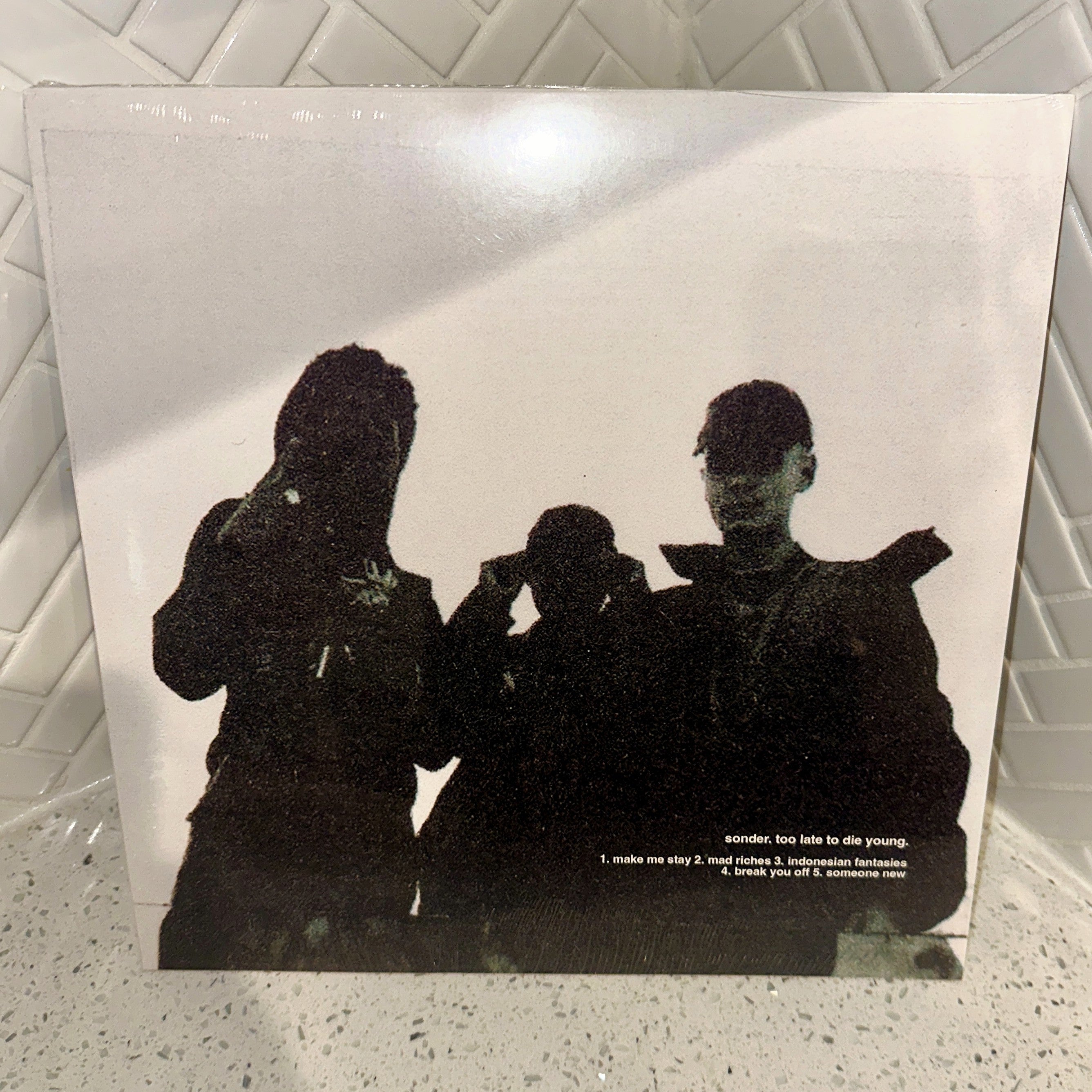 Sonder Too Late To Die Young LP Exclusive Official First Pressing Vinyl Record Front – Limited Collectibles