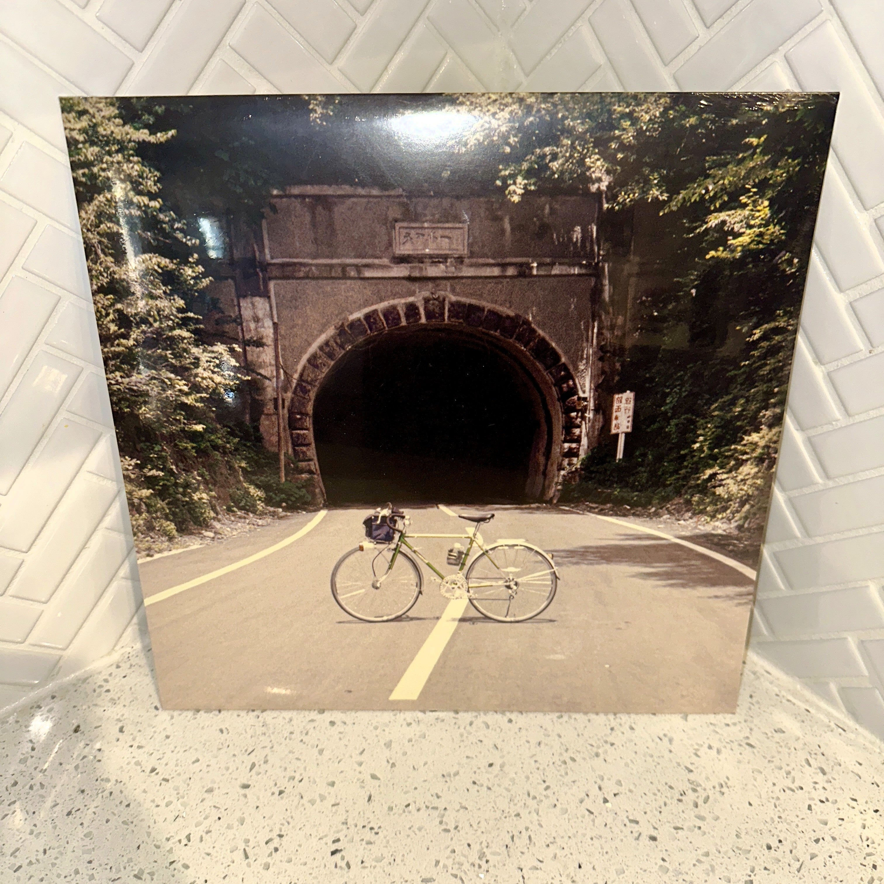 The Backseat Lovers When We Were Friends LP Limited Edition Galaxy Vinyl Record Front – Limited Collectibles