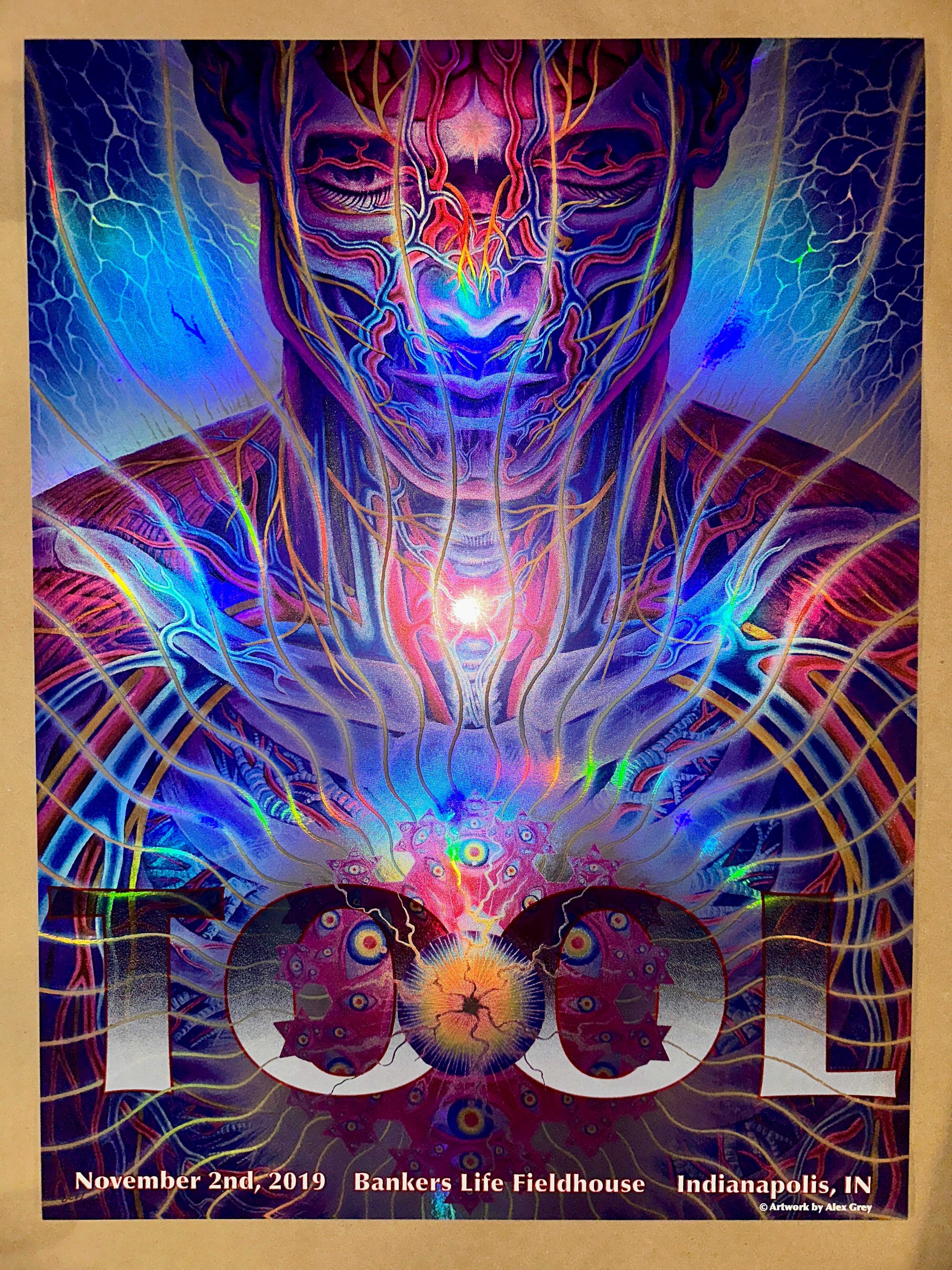 TOOL 2019 ~ Indianapolis (Alex Grey) - art_print – Limited Collectibles