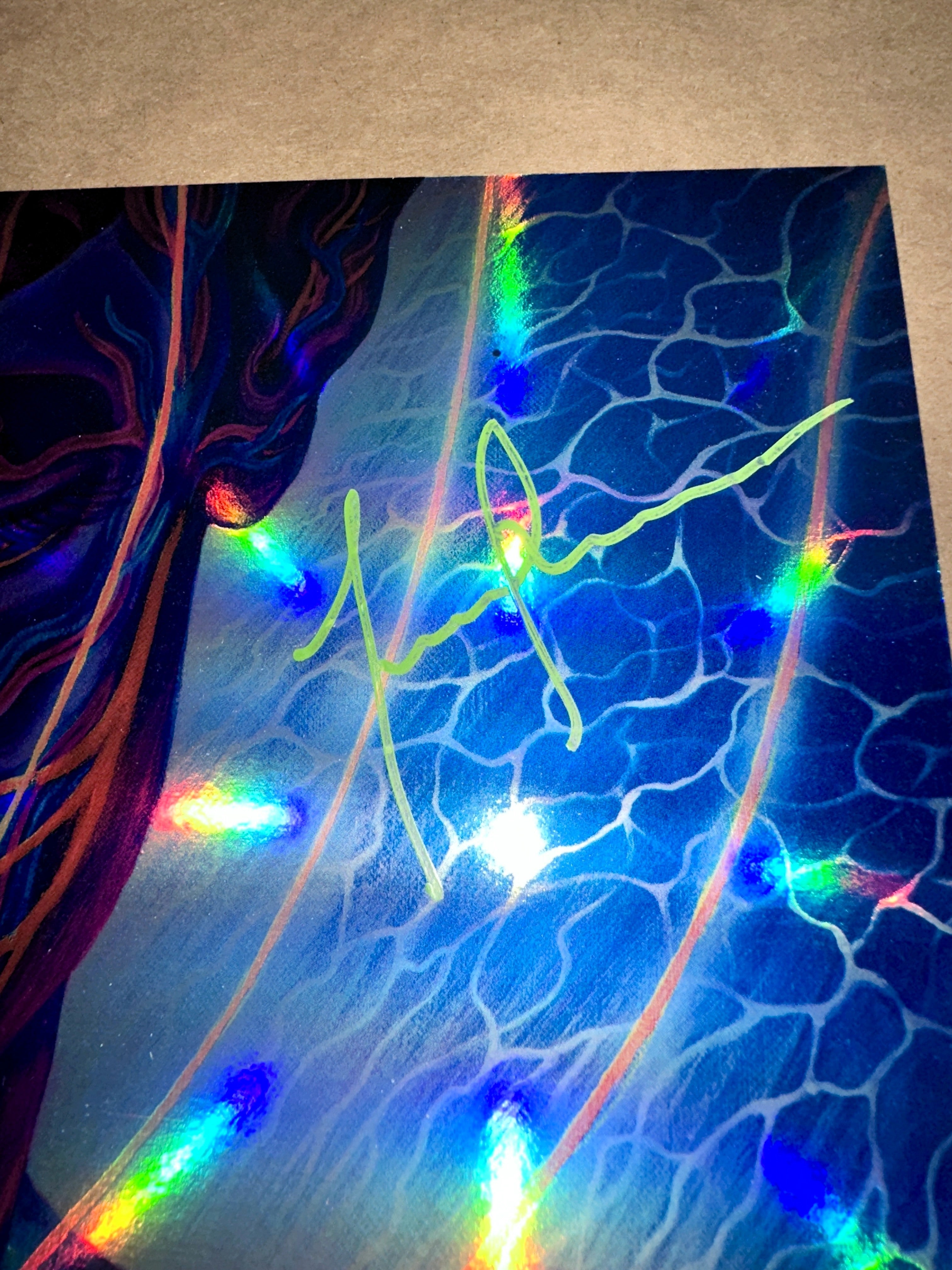 Tool 2020 Sydney Fear Inoculum Tour Concert Poster – Band-Signed – Alex Grey – Limited Collectibles